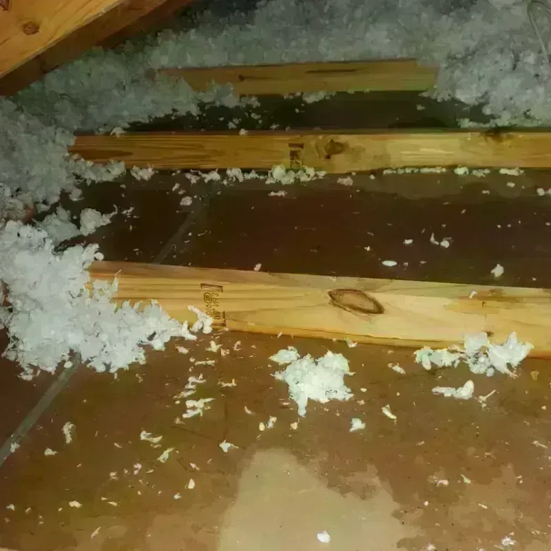 Attic Water Damage in Kotzebue, AK